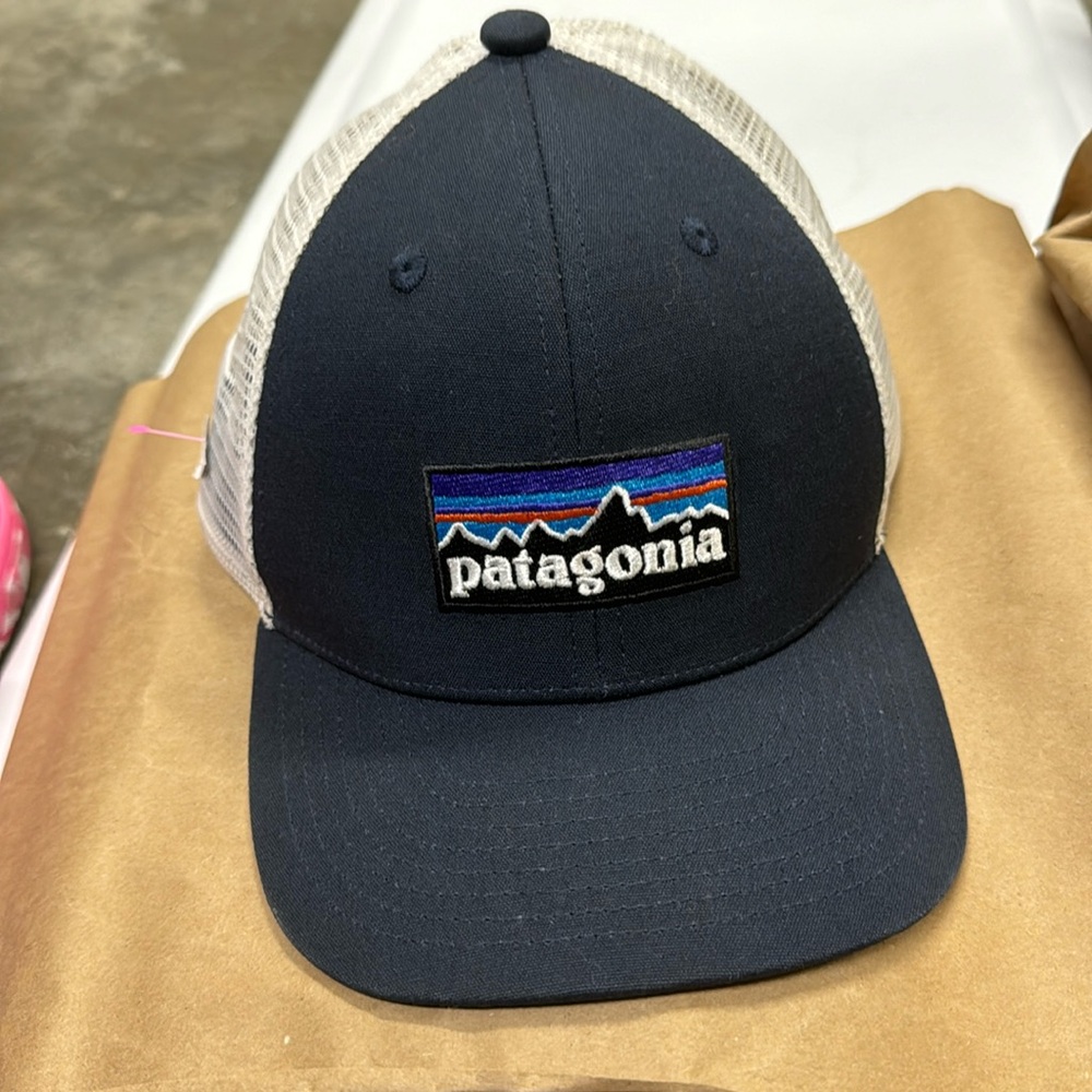 Patagonia Navy and White Trucker Hat